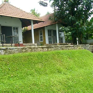 Lazy Gaze Kochi